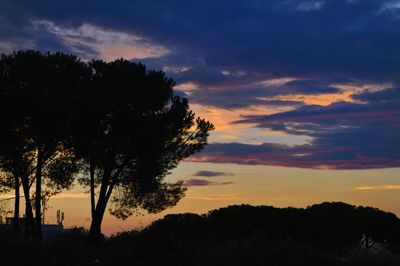 Silhouette trees against sky during sunset