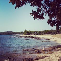 Scenic view of sea against clear sky