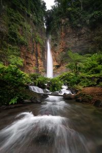 Waterfall in forest