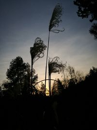 Silhouette trees against sky during sunset