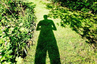 Shadow of man on field