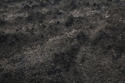 Black volcanic lava flow basalt fields close up macro background desktop textured