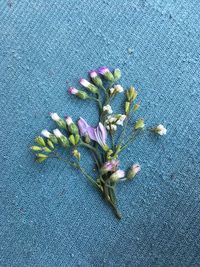 High angle view of purple flowering plant