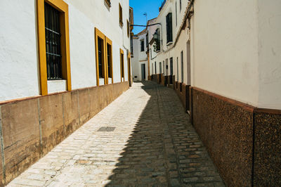 Narrow alley amidst buildings in city