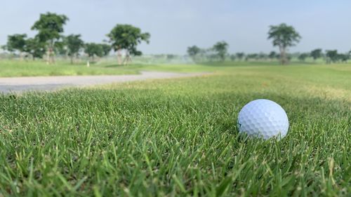 Close-up of golf ball on field