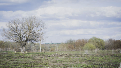 Scenic view of field against cloudy sky