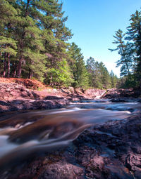 Scenic view of river flowing in forest against sky