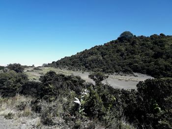 Scenic view of landscape against clear blue sky