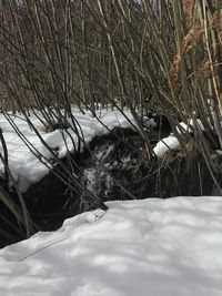 Close-up of frozen lake