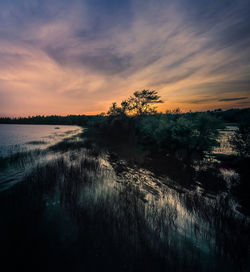 Silhouette trees by lake against sky during sunset