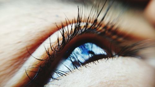 Close-up of human eye