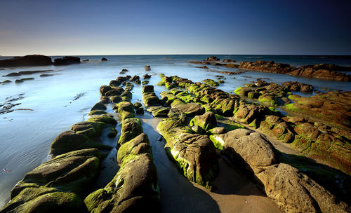 Scenic view of sea against clear sky