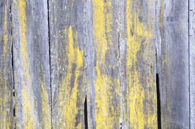 Full frame shot of wooden wall