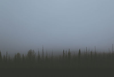 Silhouette trees on landscape against sky during foggy weather