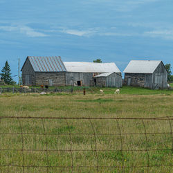 Barn on field by houses against sky