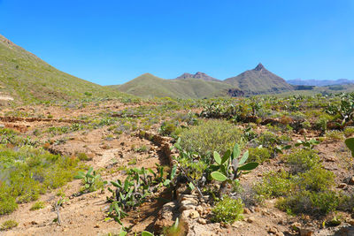 View of macizo de adeje mountain range on tenerife, canary islands, spain.