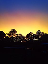 Silhouette of trees at sunset