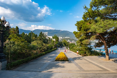 Road amidst trees and plants against sky