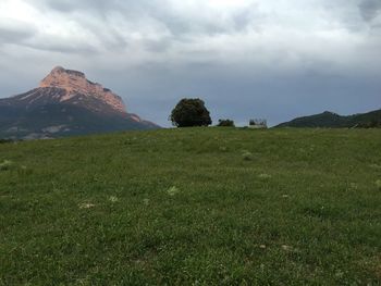 Scenic view of field against sky