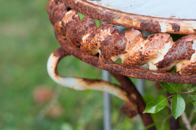 Close-up of rusty metallic table