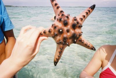 Close-up of hand holding seastar at beach