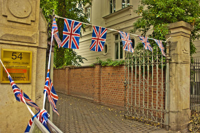 Close-up of flags hanging on tree