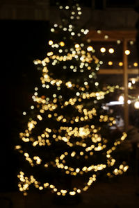 Illuminated christmas tree at night