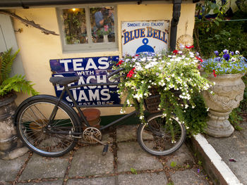 Bicycle parked by plants in city