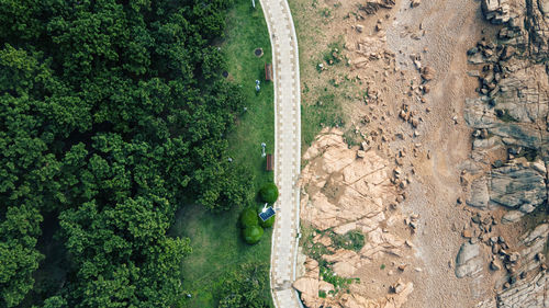 A walkway divides the greens and the coast