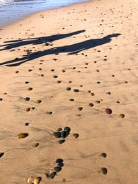 Close-up of footprints on sand at beach