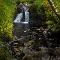 Stream flowing through rocks in forest