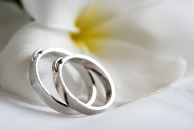 Close-up of wedding rings