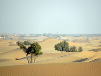 Scenic view of landscape against clear sky