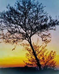 Silhouette tree against sky during sunset