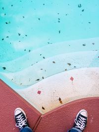 Low section of man standing on beach