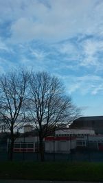 Bare trees against sky