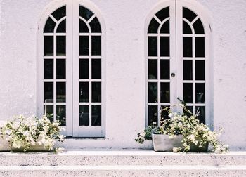 Flower plants against built structure