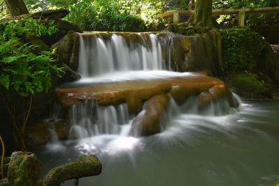 Scenic view of waterfall in forest