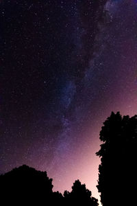 Low angle view of silhouette trees against star field at night