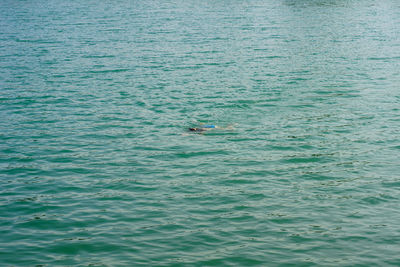 High angle view of person swimming in sea