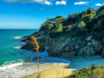 Scenic view of sea against sky