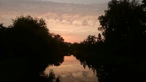 Reflection of trees in lake