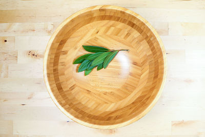 High angle view of leaves in container on table