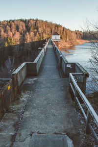 Empty walkway along plants and trees against sky