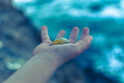 Close-up of cropped hand