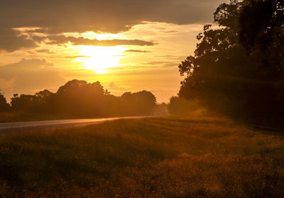 Road passing through field