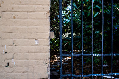 Trees and plants against wall