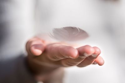 Close-up of cropped hand holding feather