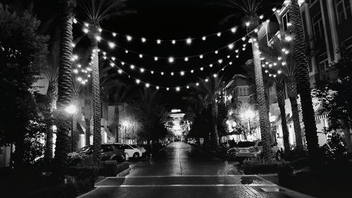 Road in city at night