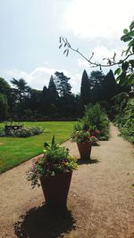 Potted plants in garden against sky